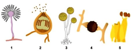 Trans emishga majbur boldi Dik va Negro