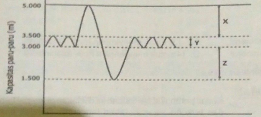 Pernyataan yang benar berdasarkan diagram tersebut...