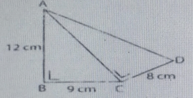 Perhatikan gambar dibawah ini. panjang garis AD ad...