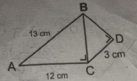 Perhatikan gambar berikut! panjang BD adalah