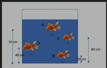 berdasarkan gambar tersebut, tekanan hidrostatis t...