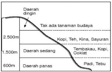 Pembagian Iklim Yang Berdasarkan Ketinggian Tempat...