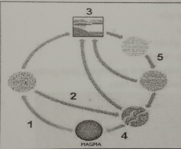 Pada Gambar Siklus Batuan Berikut Terjadinya Perub...