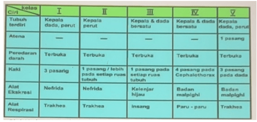 Perhatikan Tabel Berikut Ciri Kelas Arachnoidea D