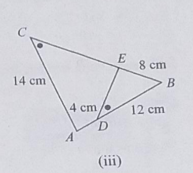 Gambar Pasangan Segitiga Sebangun