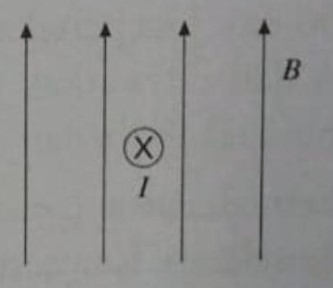 Tentukan arah gaya Lorentz pada gambar berikut!...