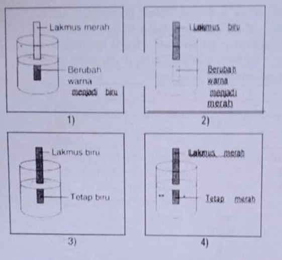 Perhatikan Ilustrasi Percobaan Berikut! Larutan Ya...