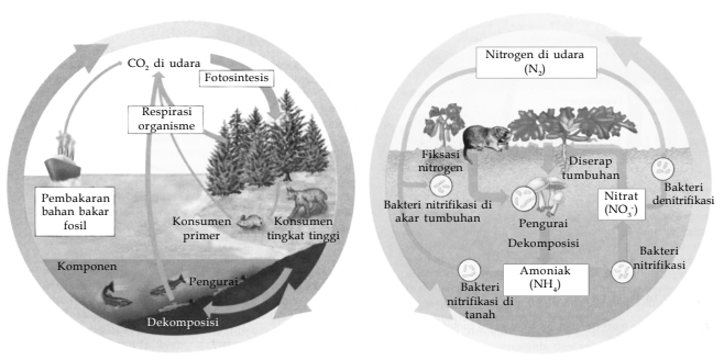 Perhatikan Gambar Berikut. Sebutkan Dan Jelaskan A...