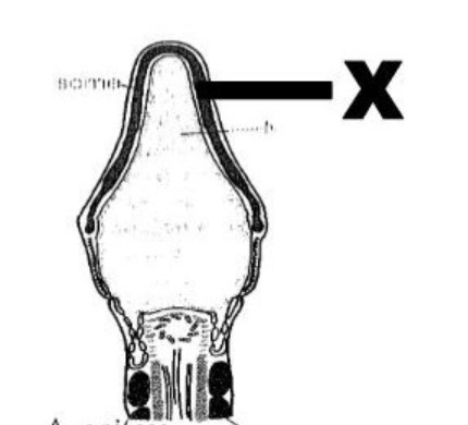 Ayollar hammomidagi mini kamera video Tolyatti talabalarining porno videolarini toping