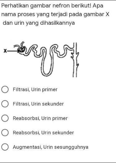 Perhatikan gambar nefron berikut! Apa nama proses...