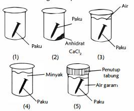 Perhatikan Gambar Percobaan Berikut! Paku Yang Me...