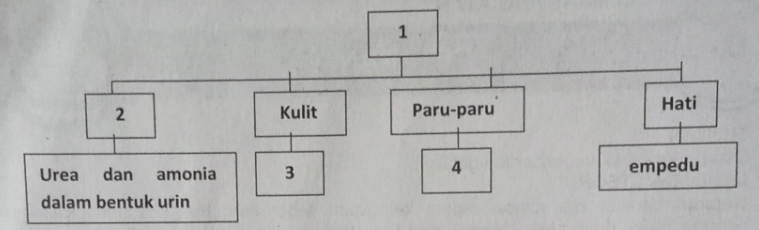 diagram skema bagi hasil - Kesalahan Umum dalam Membuat D...