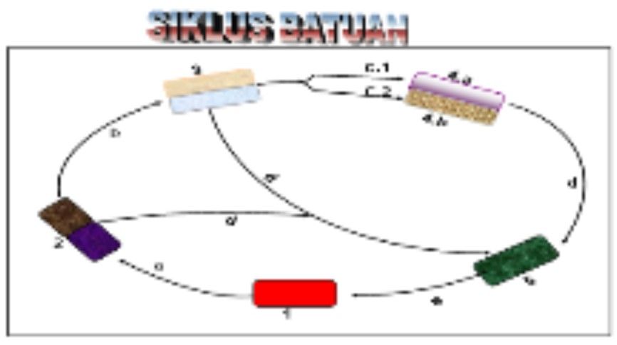 Perhatikan Gambar Berikut! Peristiwa Dalam Siklus ...