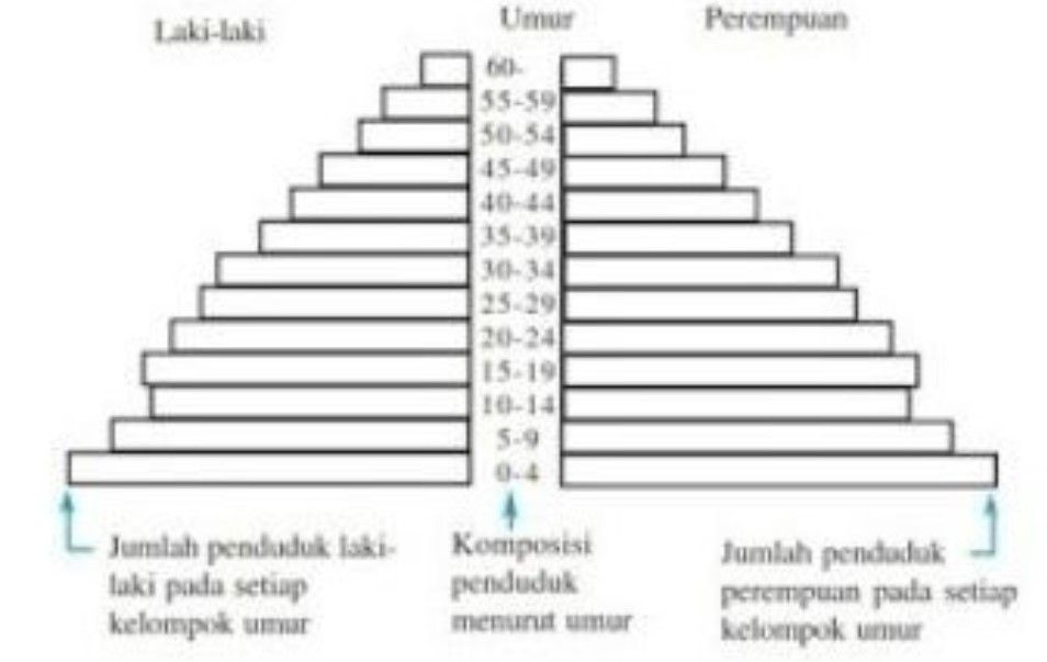 Perhatikan Bentuk Piramida Penduduk Berikut! Langk...