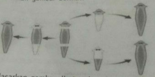 Berdasarkan gambar di atas, bagaimana cara planari...
