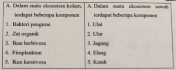 Perhatikan susunan komponen dua ekosistem berikut:...