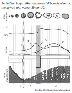 Pernyataan yang tepat mengenai fase yang diberi la...
